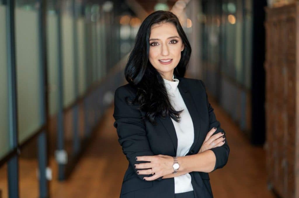 Adrian Veștea devine noul prim-ministru al României