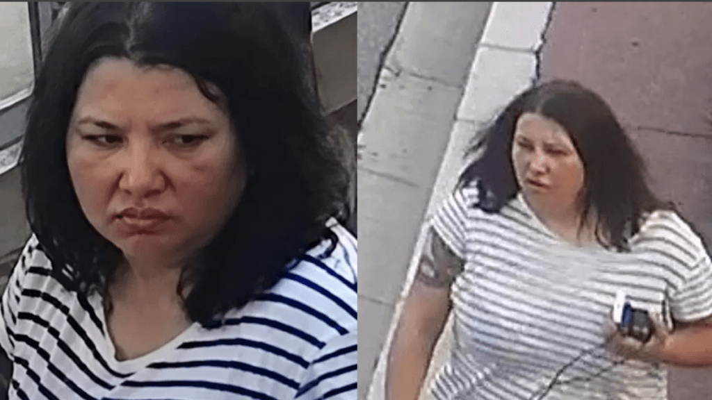 Interpol o caută pe ucraineanca Anastasia Berezovska