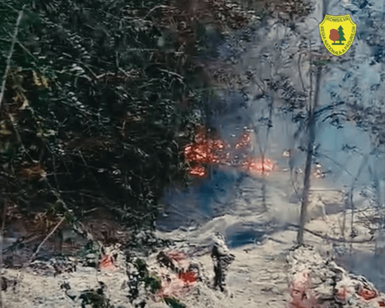 Incendiu puternic de pădure lângă Plauru, suspectată explozie a unei drone