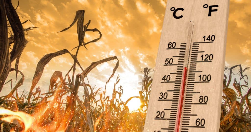 2024 a fost cel mai călduros an din istorie. NASA: Recordul de temperatură a fost depășit.