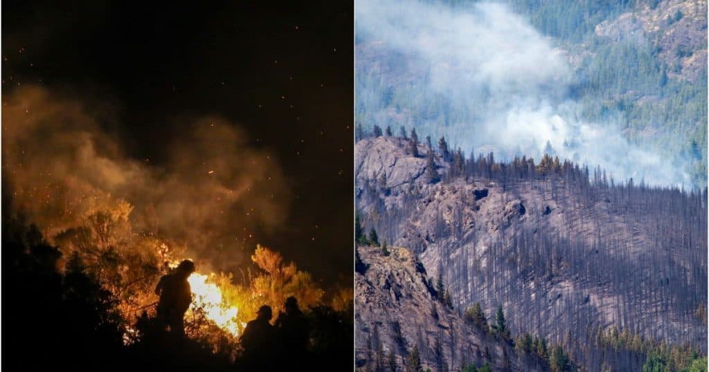 Incendiu devastator în Argentina: 2.000 de hectare de pădure distruse și 200 de familii evacuate.