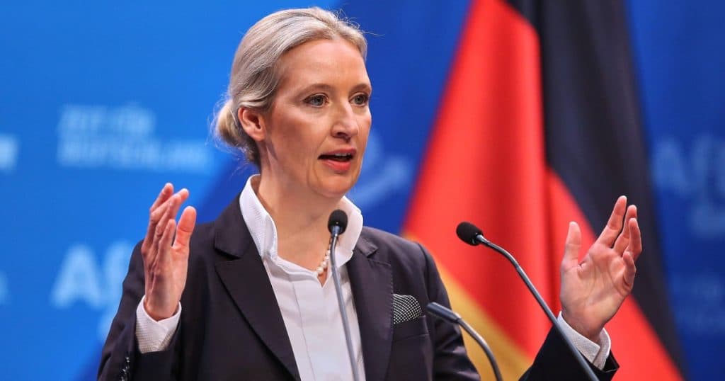 Lidera AfD susține ideea de „remigrație” pentru expulzarea migranților, înainte de alegerile anticipate din Germania.