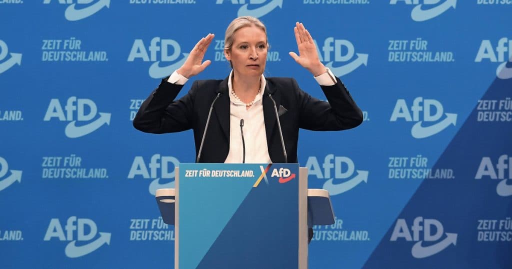 Lidera extremei drepte din Germania solicită închiderea imediată a granițelor țării, în urma atacului din Aschaffenburg.