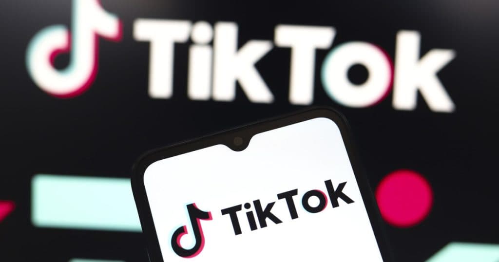 TikTok atrage atenția asupra consecințelor severe în cazul în care Curtea Supremă a SUA aprobă interzicerea aplicației în SUA.