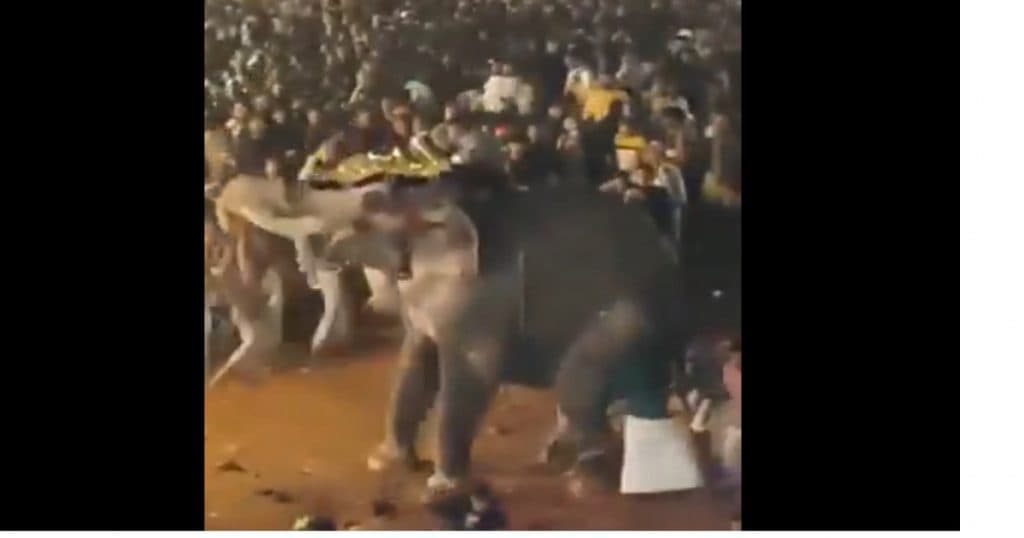 Peste 20 de persoane au fost rănite în India după ce un elefant a manifestat comportament violent în timpul unui festival religios.