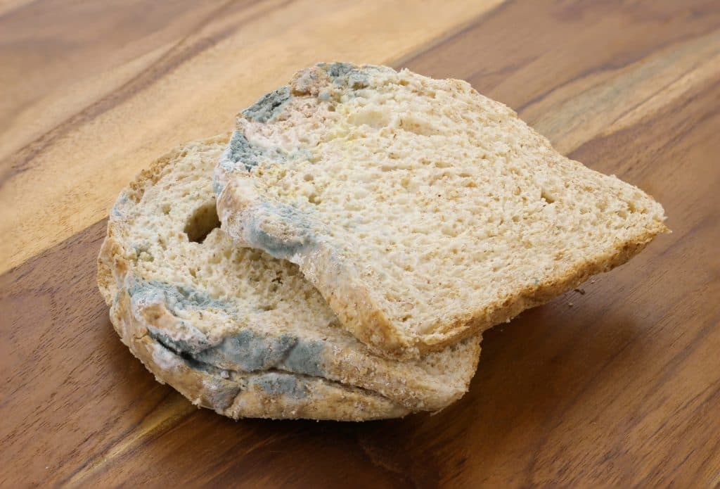 De ce este important să eviți consumul părții mucegăite din pâine