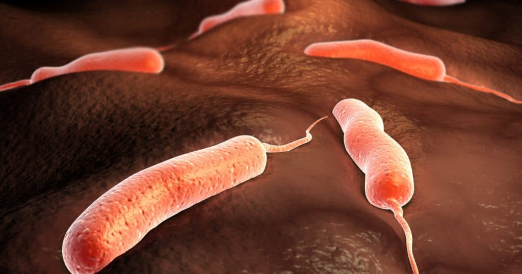 Epidemie severă de holeră în Angola: peste 4000 de cazuri de îmbolnăvire, cu 150 de decese.
