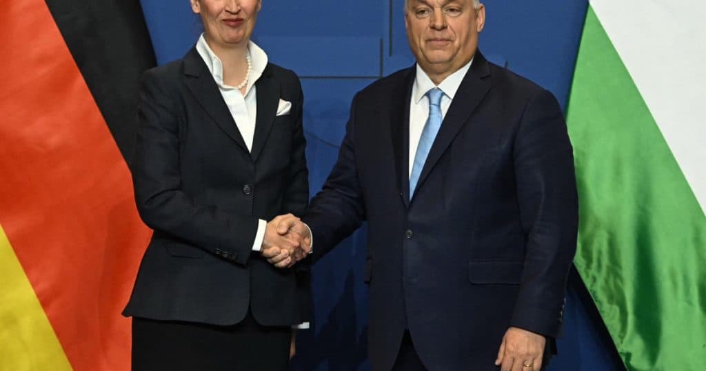 Lidera extremiștilor din Germania îl apreciază pe Viktor Orban și declară Ungaria drept „marele nostru model”