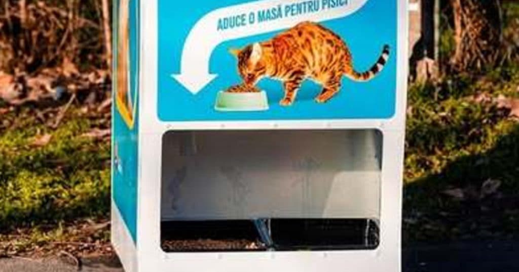 Automatele care oferă hrană pentru pisici în schimbul reciclării au distribuit 2.000 de porţii de mâncare în două luni.