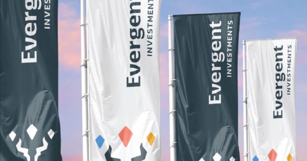 EVERGENT Investments anunță un rezultat net de 263,66 milioane lei în 2024, cu o creștere de 29% comparativ cu 2023.