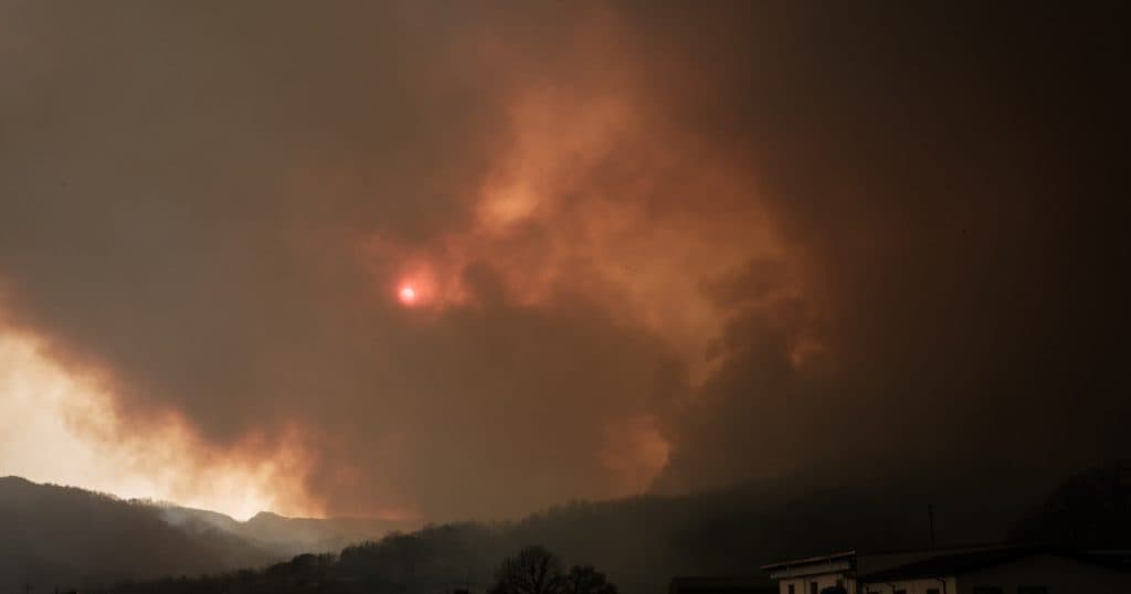 Incendii devastatoare în Coreea de Sud: Trei pompieri și o altă persoană au decedat