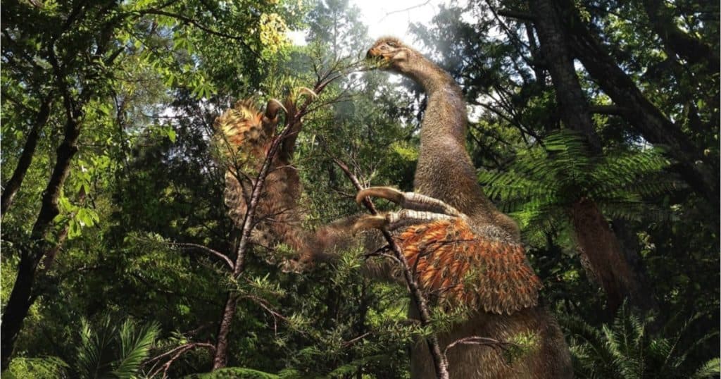 O specie neobișnuită de dinozaur cu gheare imense a fost descoperită în deșertul Gobi din Mongolia.