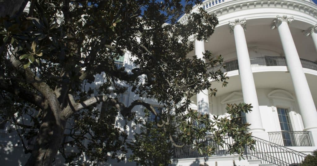 Trump anunță tăierea unui copac istoric, plantat acum aproape 200 de ani la Casa Albă. „Voi planta un alt arbore, foarte frumos”