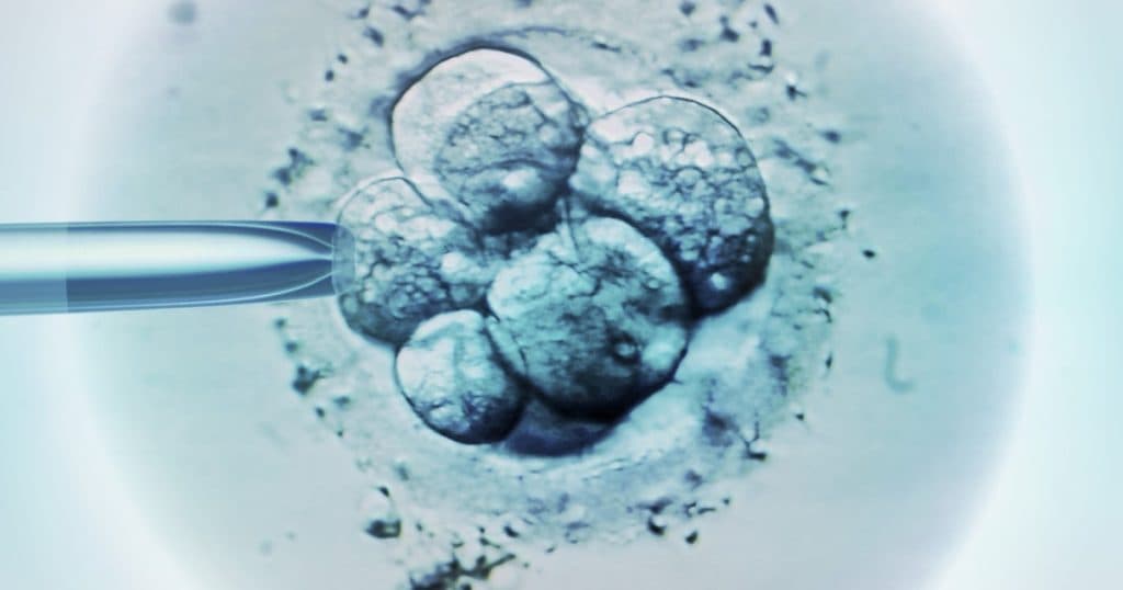 Cum a reușit o femeie din Australia să devină mamă a copilului unei străine. Clinica de fertilitate implicată a mai avut probleme anterioare.