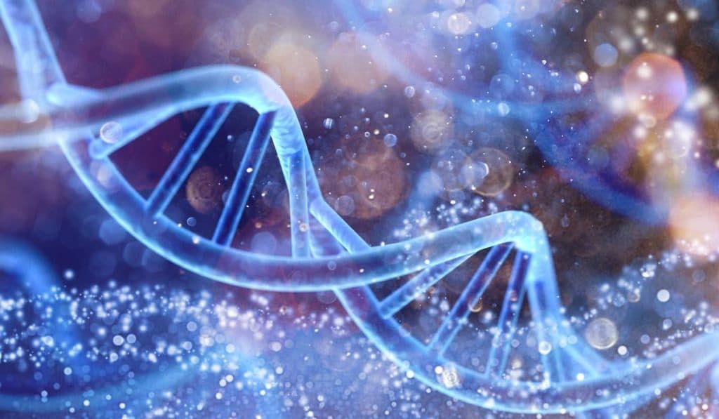 Cum putem extinde durata sănătoasă a vieții. Medicina 3.0 – soluția pentru o longevitate sănătoasă și cheltuieli medicale mai mici.
