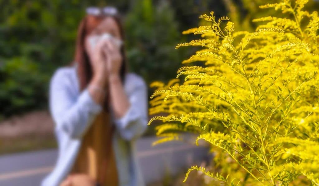 Cum să abordezi natural alergiile de primăvară. Sfaturi pentru reducerea simptomelor, fără medicamente.