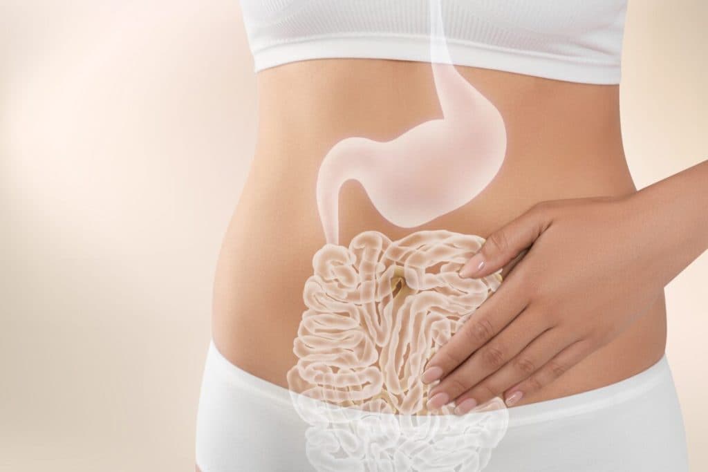 Semnificația microbiomului intestinal în menținerea sănătății