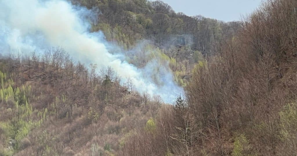 Incendiul de pădure din Argeș a fost stins după cinci zile de luptă a pompierilor cu flăcările.