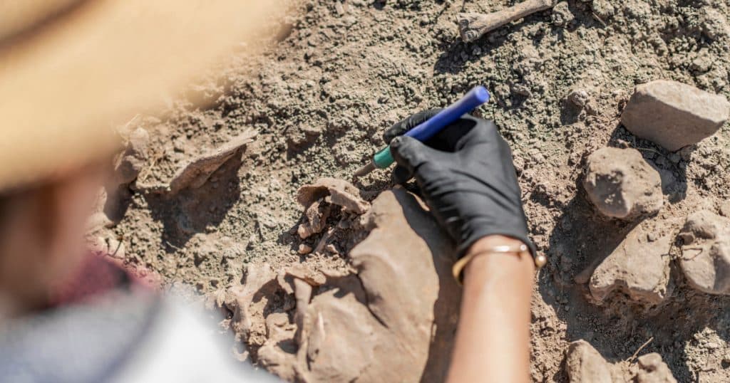 Misterele cimitirului medieval descoperit lângă Aeroportul Cardiff: Zecile de schelete găsite în poziții neobișnuite aparțin femeilor.