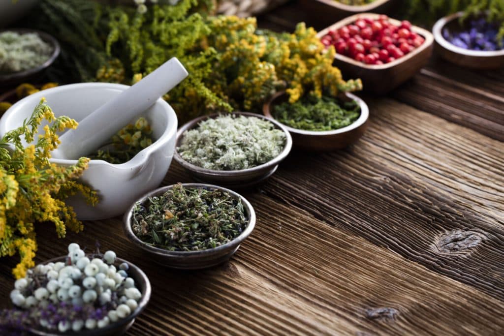 Plantele medicinale: soluții naturale pentru sănătatea fiecărui organ al corpului