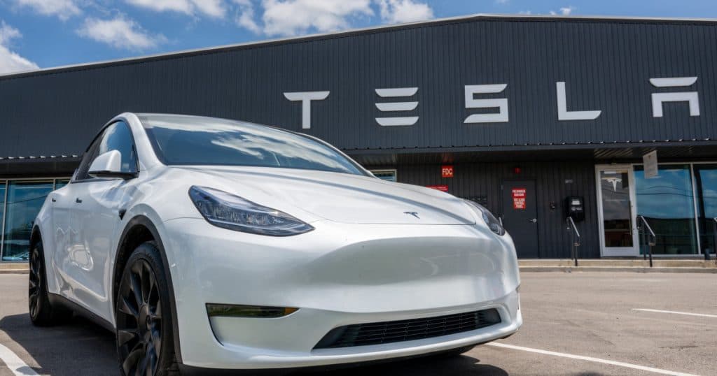 Românca cu inițialele gravate pe bateriile Tesla a obținut o victorie în instanță împotriva lui Elon Musk. Cine este Cristina Bălan?