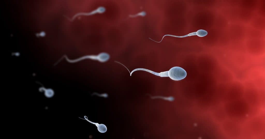 Concurs inedit organizat de adolescenți din Los Angeles pentru a atrage atenția asupra problemelor de fertilitate masculină