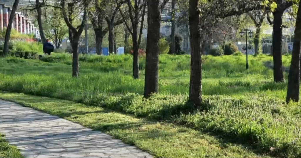 Cosirea mozaicată a ierbii din Timișoara, un concept adus din Occident, nu este apreciată de mulți locuitori. „Arată foarte urât”
