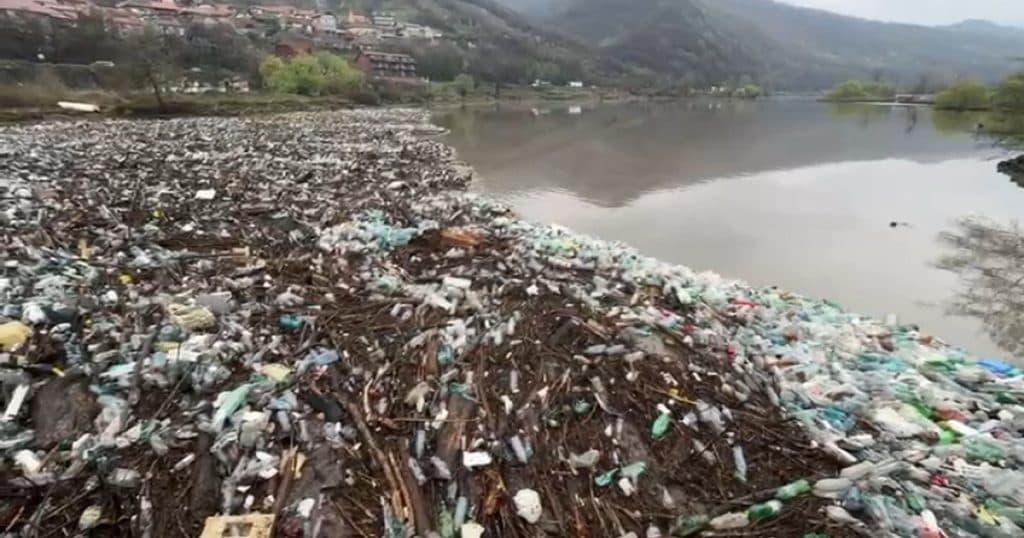 Dunărea sufocată de gunoaie: tone de deșeuri aduse de viitură la Orșova, autoritățile intervin cu utilaje grele.