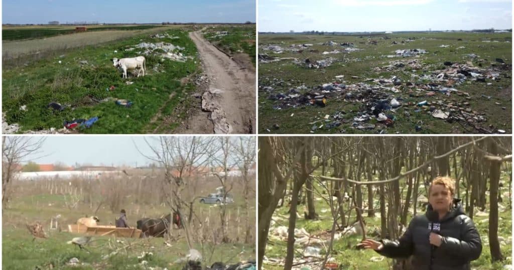 Imagini șocante: hectare întregi de pășune și pădure transformate în groapă de gunoi. „Ce să facem?! Vine omul și le aruncă”
