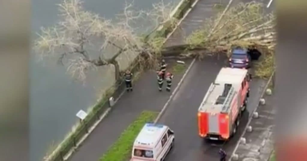Un copac a căzut peste o mașină pe un bulevard cu trafic intens din Capitală.