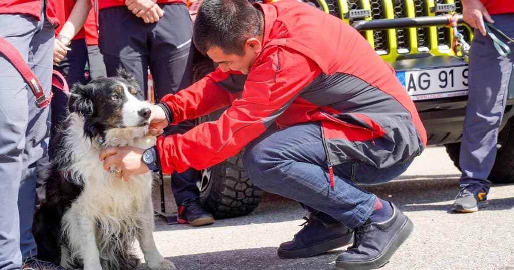 Helios, primul câine salvator montan din România, s-a retras după 12 ani de activitate.