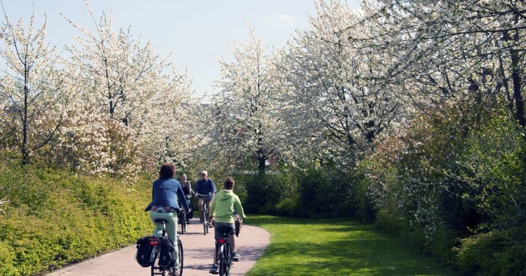Prognoza meteo pentru minivacanța de 1 mai: ultimele zile din aprilie vor fi călduroase, iar perspectivele pentru următoarele două săptămâni.