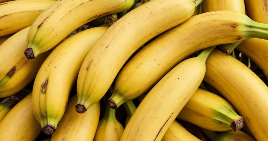 Bananele, în pericol. Ce le amenință culturile?