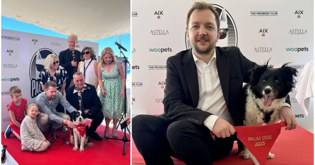Cannes 2025: Un ciobănesc islandez a câștigat trofeul Palme Dog pentru cea mai bună „interpretare” canină.