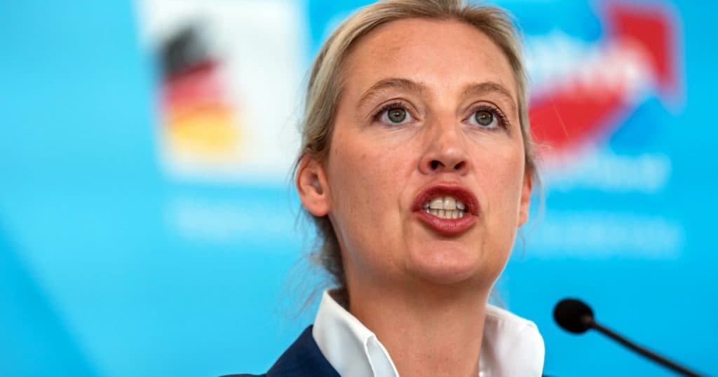 Declarațiile ministrului german de Interne cu privire la posibilitatea de a interzice partidul extremist AfD