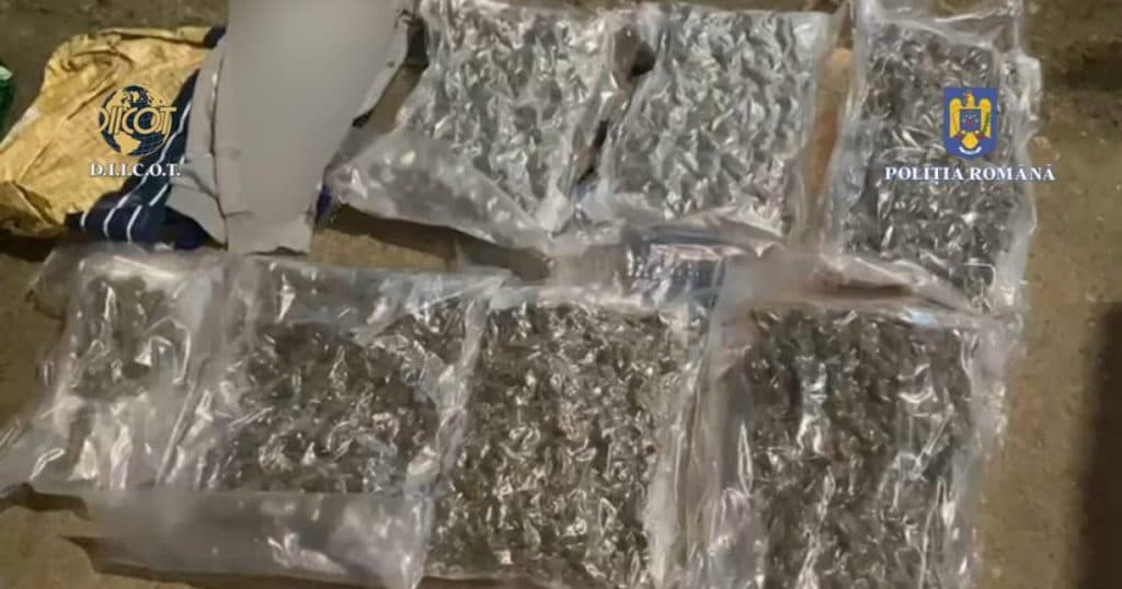 Un bărbat a fost surprins în flagrant de procurorii DIICOT după ce a solicitat peste 6 kilograme de canabis din Spania.