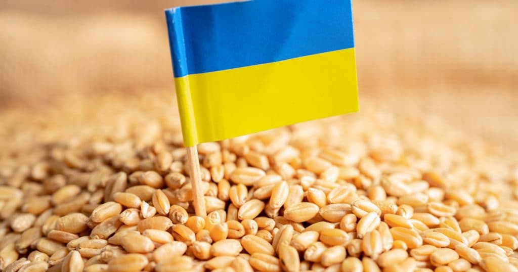 Guvernul francez susține restricționarea importurilor de grâu din Ucraina în Uniunea Europeană.