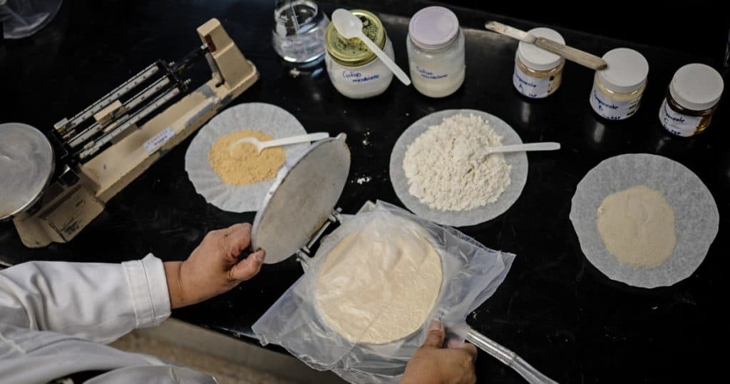 Mexicanii experimentează cu tortilla. De ce își doresc o variantă care să aibă o durată lungă de păstrare fără refrigerare.