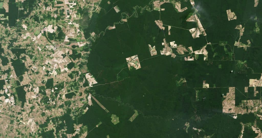 Noua „inovație” a cercetătorilor: satelit dezvoltat pentru a „analiza” pădurile Pământului.