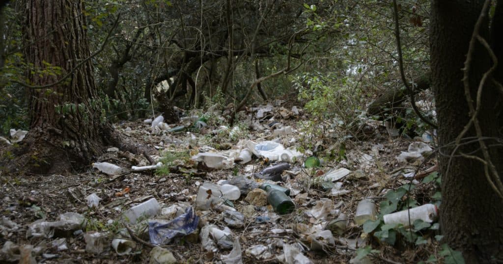 Pădure transformată în groapă de gunoi la marginea unui drum național. Primar: „Este regretabil, dar imposibil de gestionat.”