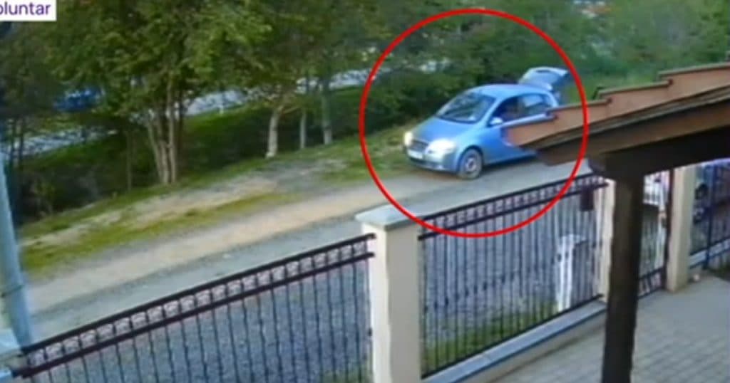 Un câine a fost împușcat pe o stradă din apropierea Timișoarei, iar un bărbat a fost surprins de camera de supraveghere.