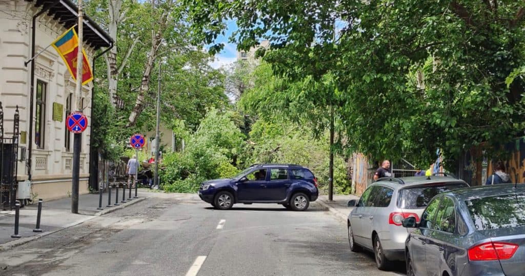 Un copac a căzut pe o stradă din centrul Bucureștiului, avariind două mașini. Circulația în zonă este oprită.