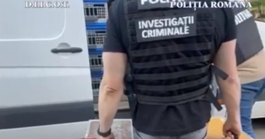 Zeci de porumbei de concurs și de reproducere furați din Belgia, descoperiți în Mehedinți. Valoarea păsărilor depășește 2,2 milioane de euro.