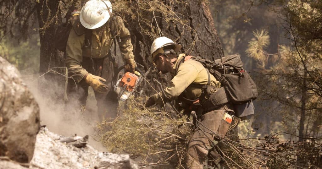 Doi decedați și un rănit în SUA, după ce pompierii care interveneau la un incendiu de vegetație au fost atacați în statul Idaho.