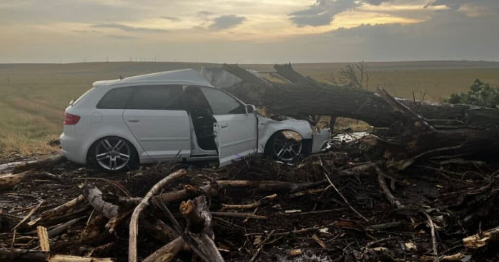 Un copac doborât de vânt a căzut peste o maşină cu două femei şi doi copii în Teleorman.