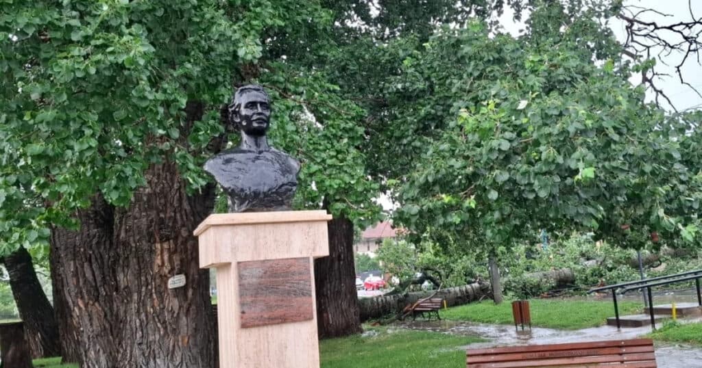 Unul dintre copacii care l-au inspirat pe Mihai Eminescu a căzut în Iași. Intervenție de urgență a ISU.