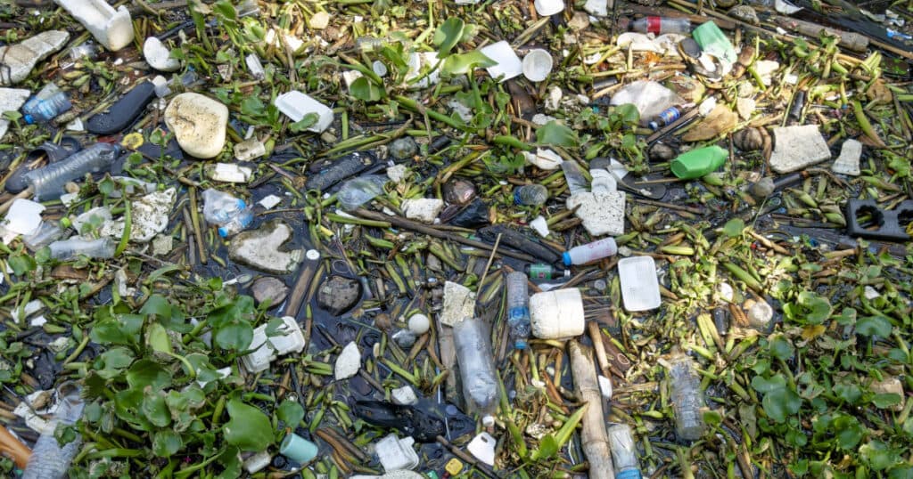 Garda de Mediu a verificat aproape toate localitățile din țară: „Gradul de reciclare a deșeurilor a scăzut, în loc să crească”