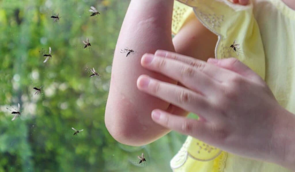 Cum să reduci mâncărimea și inflamația în urma înțepăturilor de insecte