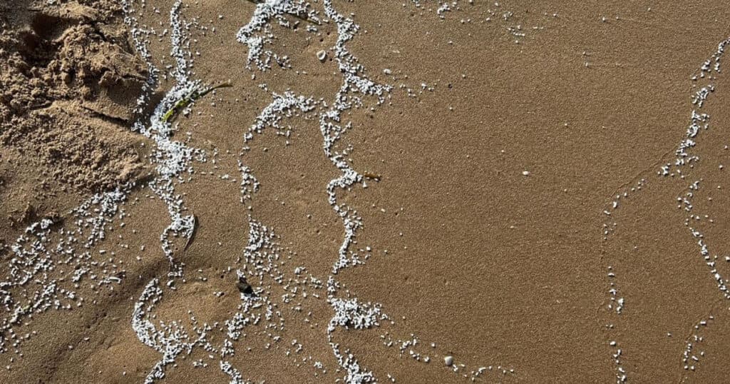 Patru plaje din apropierea Valenciei au fost închise după ce pe nisip au fost descoperite particule albe misterioase.