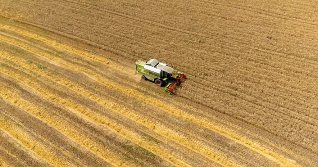 Prețurile globale ale alimentelor au înregistrat o scădere în luna mai, ca urmare a ieftinirii cerealelor, zahărului și uleiului.